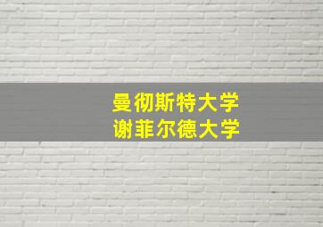 曼彻斯特大学 谢菲尔德大学